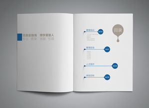 专业咨询公司产品手册设计与图文制作指南